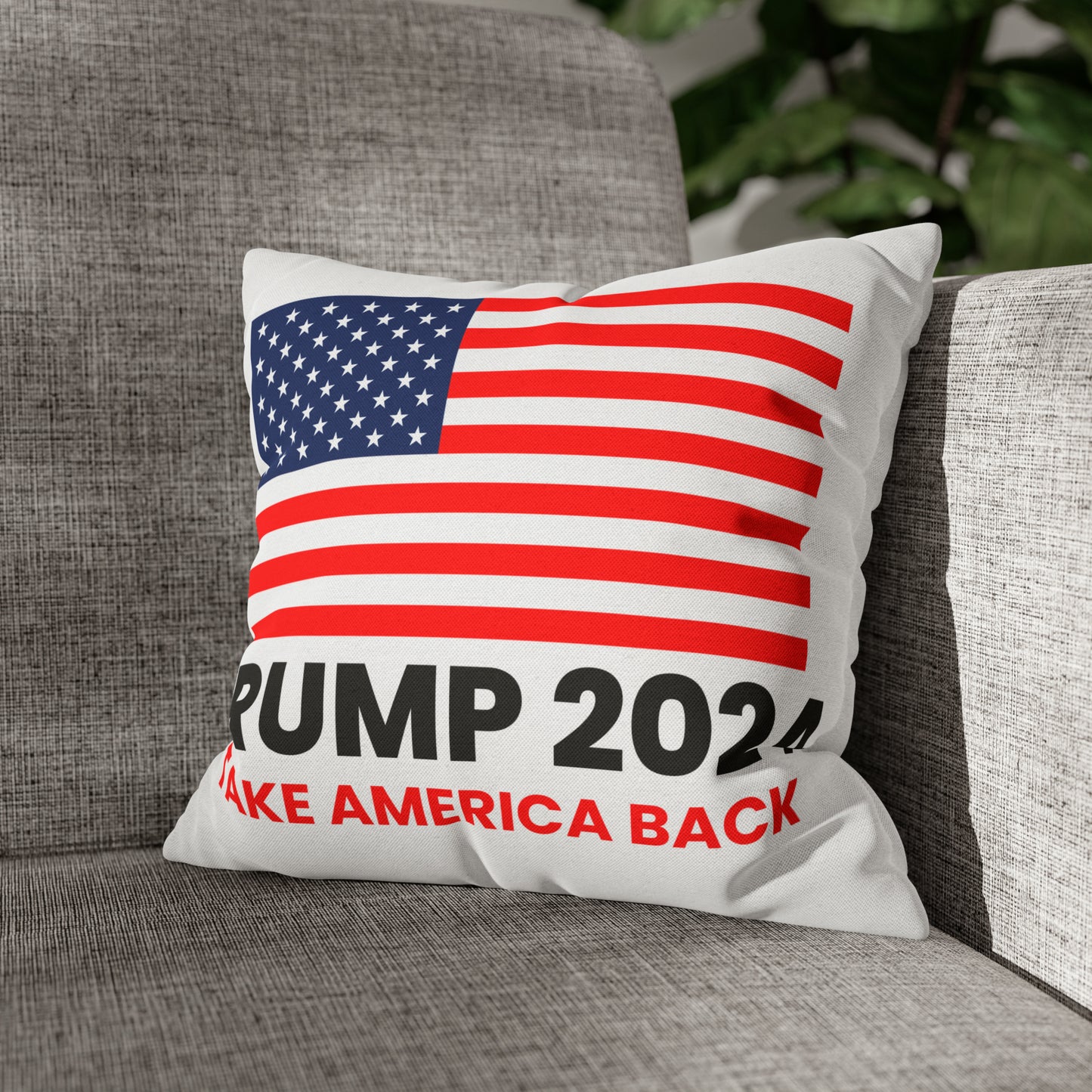 Trump 2024 Take America Back Throw Pillow Case