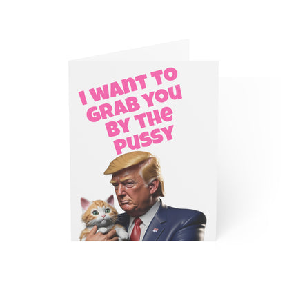 I want to grab you by the P Trump MAGA Anniversary Card Gift