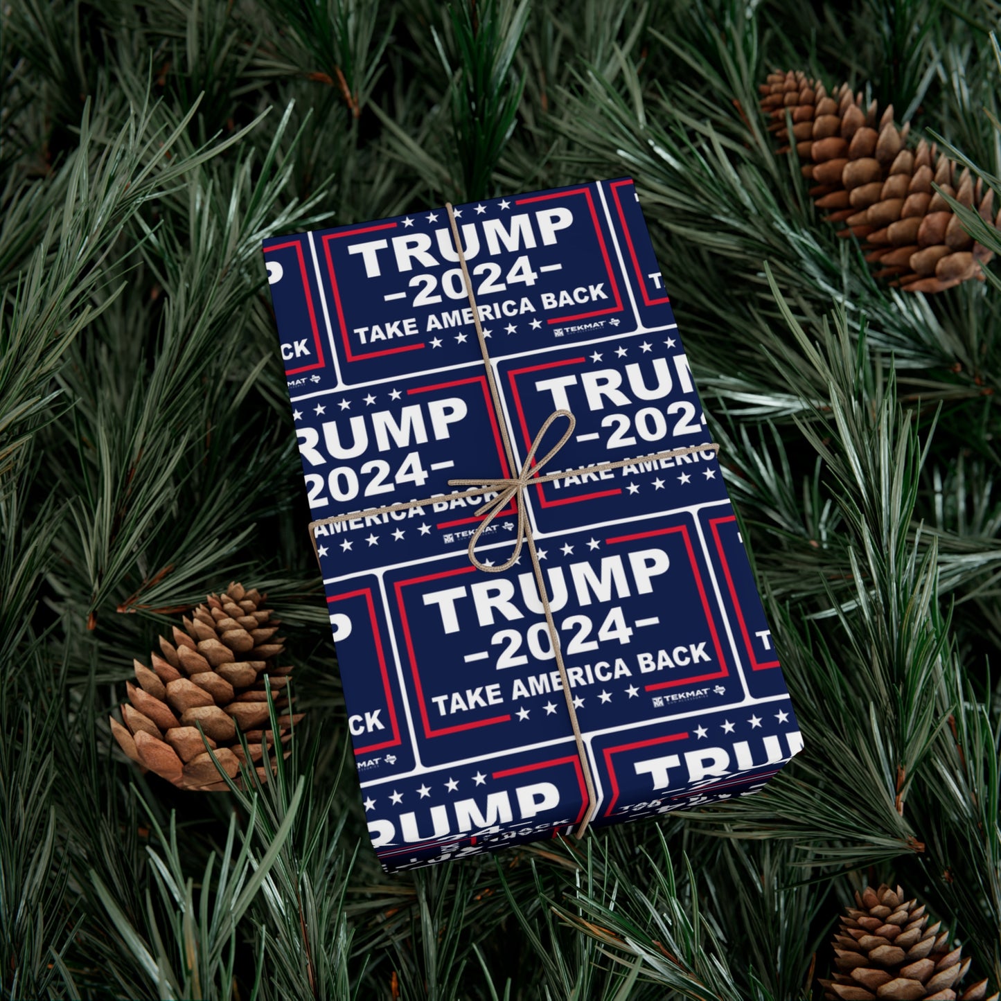 Trump Take America Back Weihnachtsgeschenkpapier